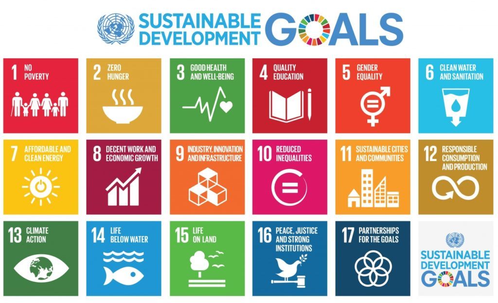 Reporting on the SDGs